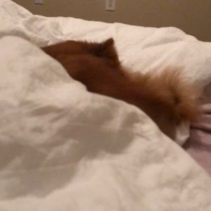 Meet your Posher, Maria